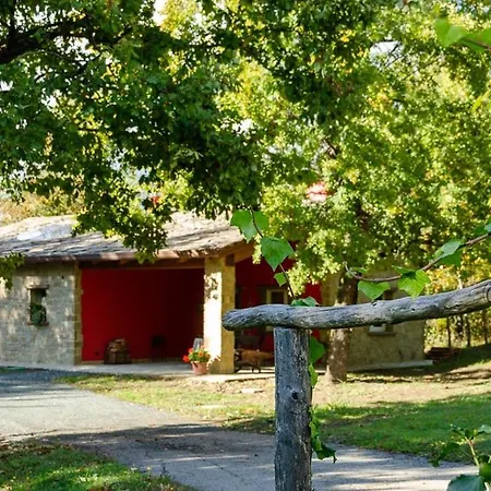 La ghiandaia-3